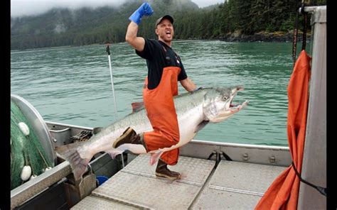 alaska fish and game|Alaska's 2025 salmon forecast more than doubles last year.